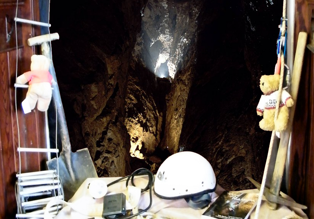 Cave Bears
