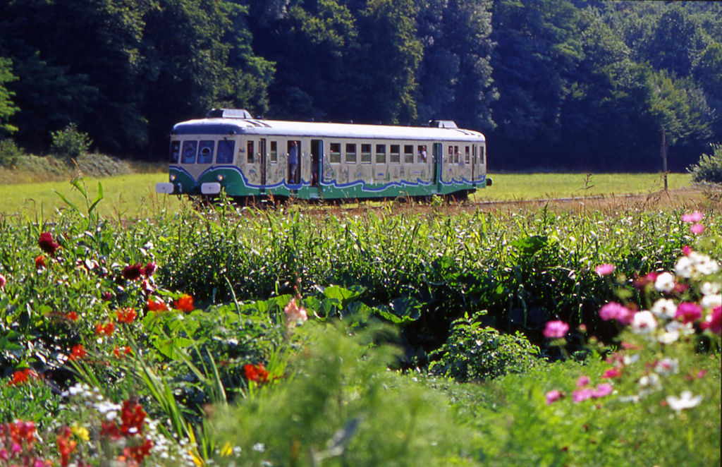 Train Touristique de la Vallée du Loir